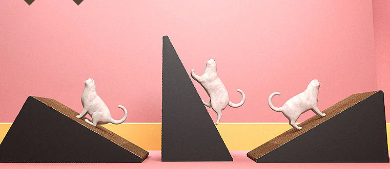 Cat Scratching Board with Corrugated Paper Design
