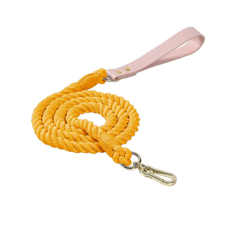 Adjustable Rainbow Traction Rope Collar for Dogs