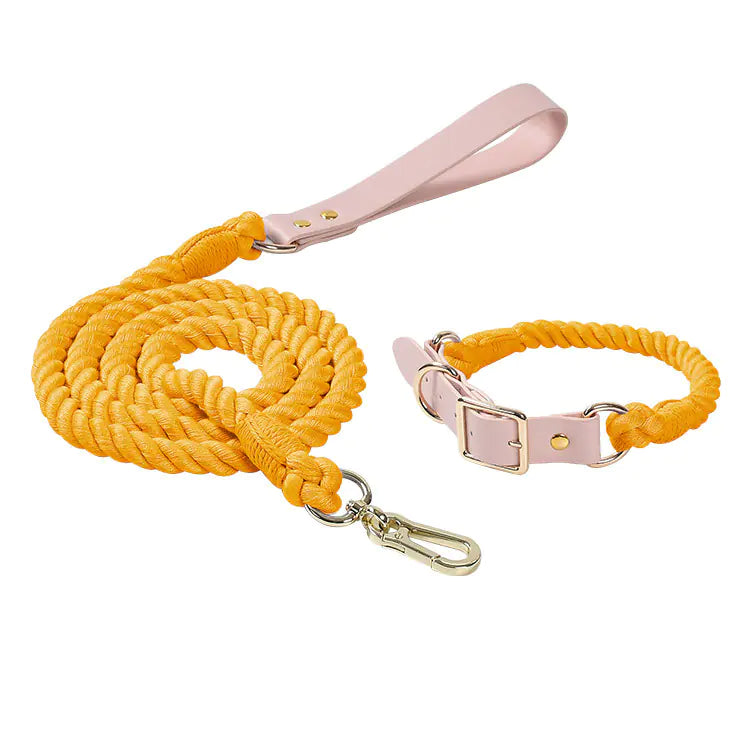 Adjustable Rainbow Traction Rope Collar for Dogs