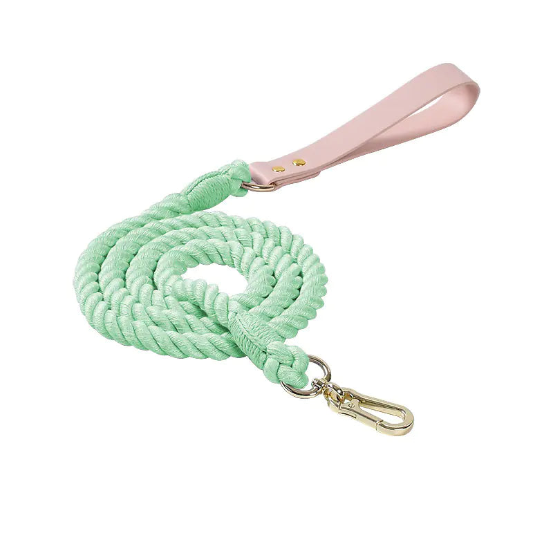 Adjustable Rainbow Traction Rope Collar for Dogs