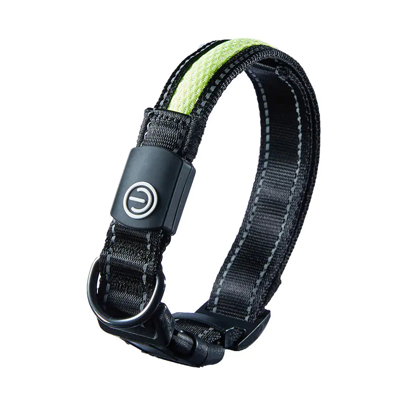 USB Rechargeable LED Dog Collar for Night Walks