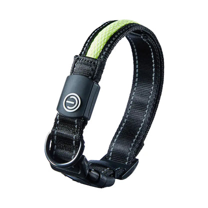 USB Rechargeable LED Dog Collar for Night Walks