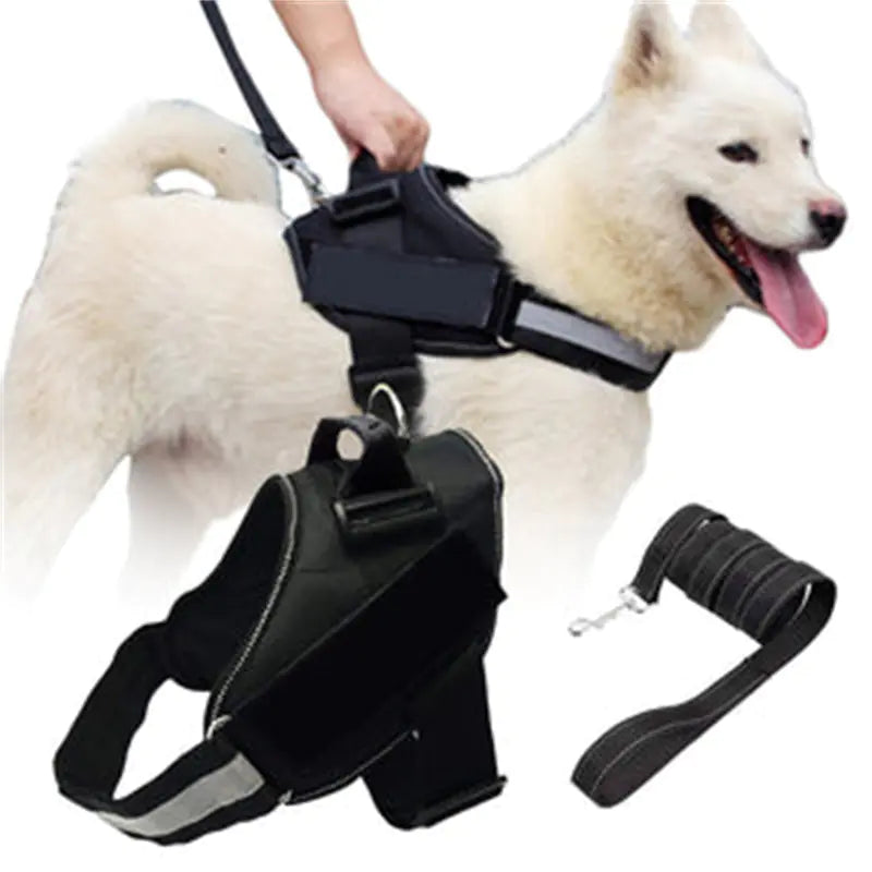Dog Vest Harness with Leash for Pets