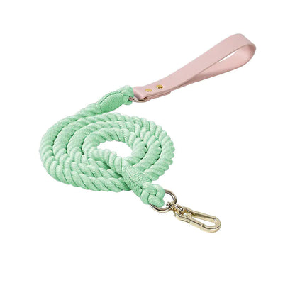 Adjustable Rainbow Traction Rope Collar for Dogs