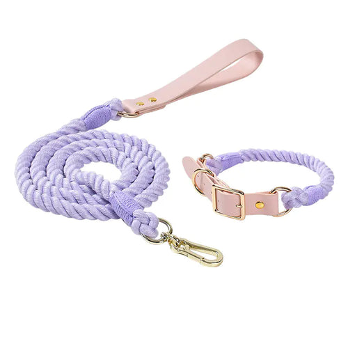Adjustable Rainbow Traction Rope Collar for Dogs